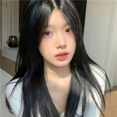当哈维遇见鲍勃